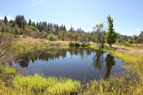 29322 Westmoore Rd, Shingletown, CA 96088 photo 54