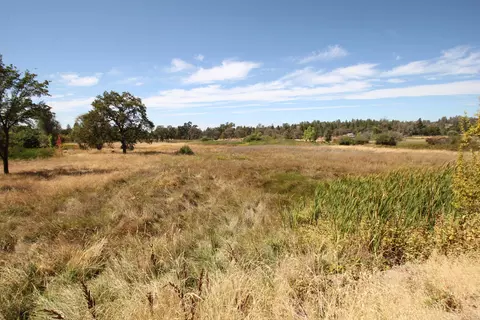 29322 Westmoore Rd, Shingletown, CA 96088 photo 52