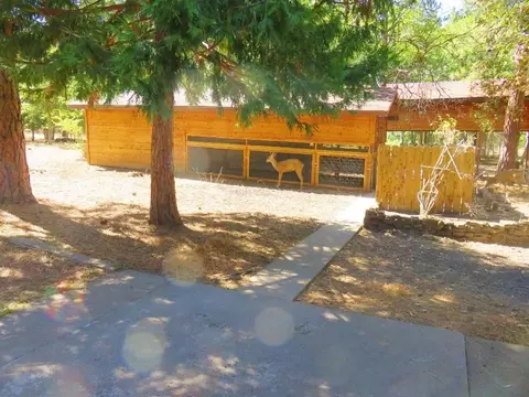 40294 Mcarthur Rd, Fall River Mills, CA 96028 photo 32