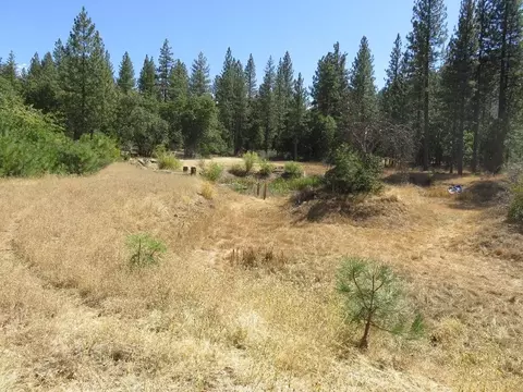 40294 Mcarthur Rd, Fall River Mills, CA 96028 photo 54