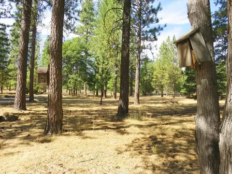 40294 Mcarthur Rd, Fall River Mills, CA 96028 photo 43