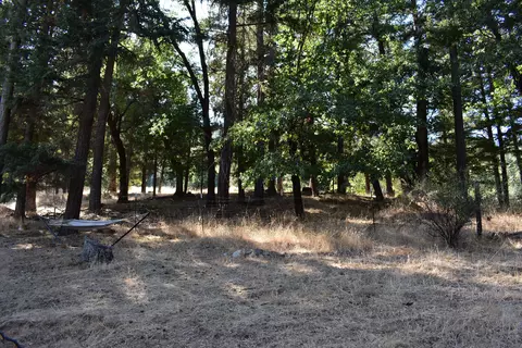 11 Hunter Ln, Hayfork, CA 96041 photo 7