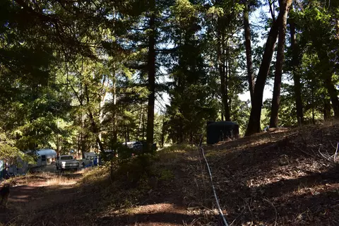 11 Hunter Ln, Hayfork, CA 96041 photo 9