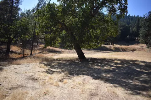 11 Hunter Ln, Hayfork, CA 96041 photo 5