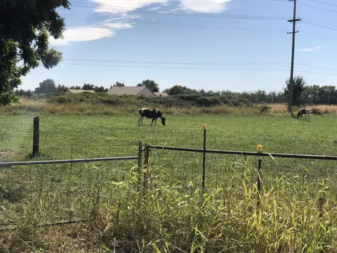 19557 Sunview Ln, Redding, CA 96002 photo 11