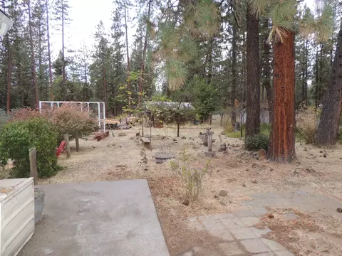 38040 Elderberry Ln, Burney, CA 96013 photo 29