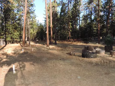 38040 Elderberry Ln, Burney, CA 96013 photo 35