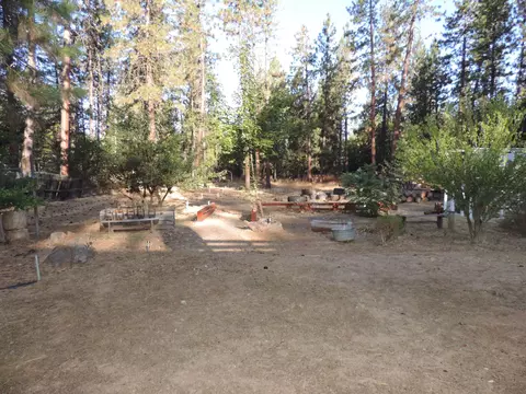 38040 Elderberry Ln, Burney, CA 96013 photo 33