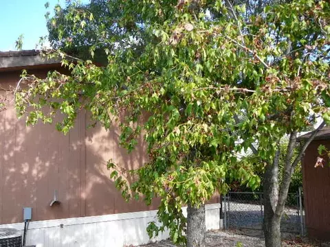 1148 Fox Den Dr, Redding, CA 96003 photo 24