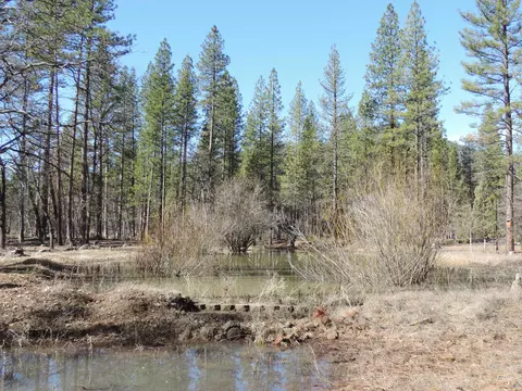 40801 Brown Rd, Fall River Mills, CA 96028 photo 52