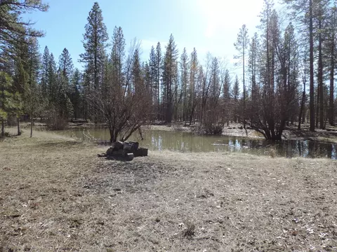 40801 Brown Rd, Fall River Mills, CA 96028 photo 50