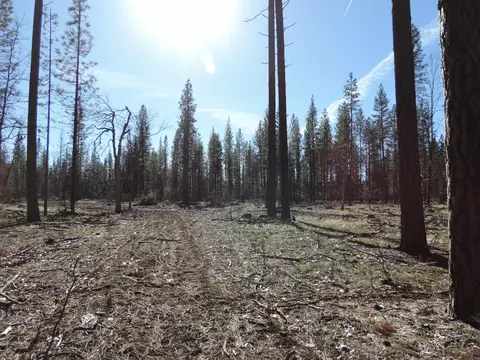 40801 Brown Rd, Fall River Mills, CA 96028 photo 48