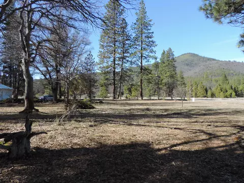 40801 Brown Rd, Fall River Mills, CA 96028 photo 45