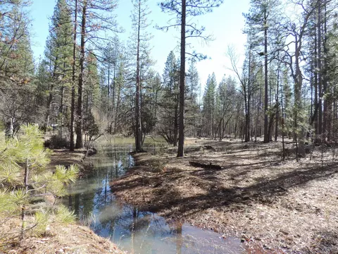 40801 Brown Rd, Fall River Mills, CA 96028 photo 49