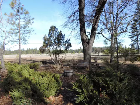 40801 Brown Rd, Fall River Mills, CA 96028 photo 42