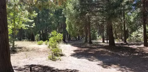32744 Emigrant Trl, Shingletown, CA 96088 photo 4