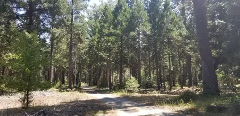 32744 Emigrant Trl, Shingletown, CA 96088 photo 6