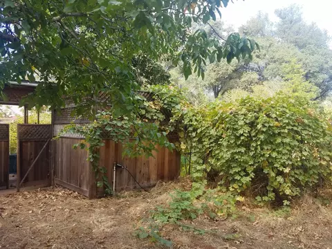 3201 Middleton Ln, Redding, CA 96002 photo 24