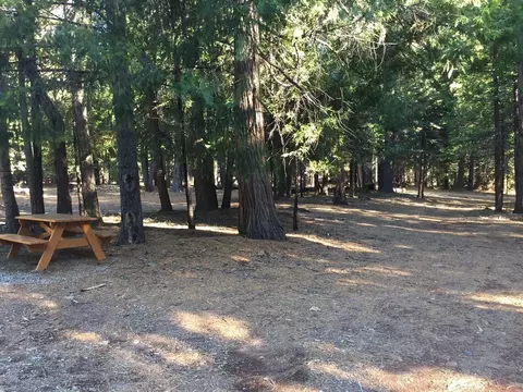 36236 Deer Flat Rd, Shingletown, CA 96088 photo 3