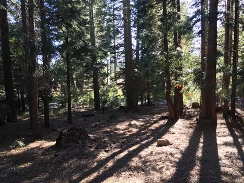 36236 Deer Flat Rd, Shingletown, CA 96088 photo 8