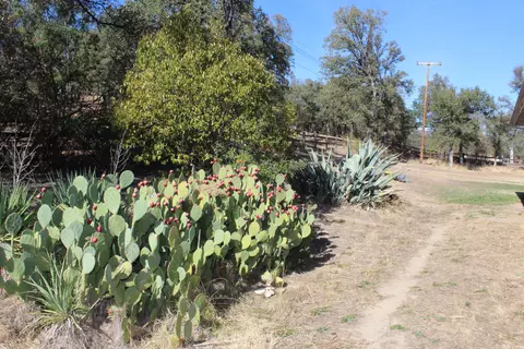 21807 Robledo Rd, Palo Cedro, CA 96073 photo 24