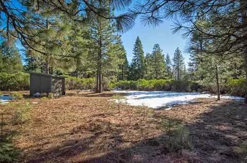 7450 Orion Rd, Shingletown, CA 96088 photo 42