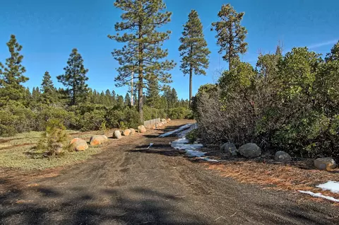7450 Orion Rd, Shingletown, CA 96088 photo 32