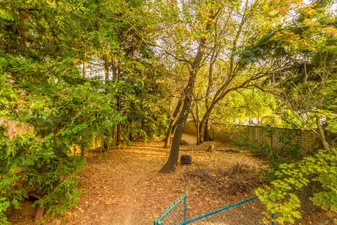2443 Pinion Ct, Redding, CA 96002 photo 28