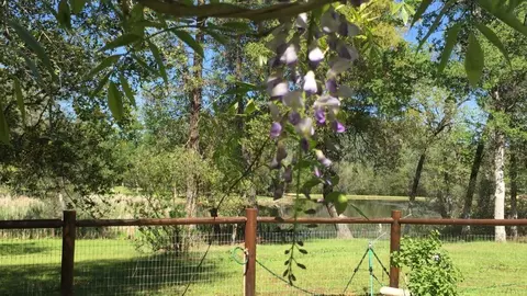 13148 S Fork Rd, Igo, CA 96047 photo 40