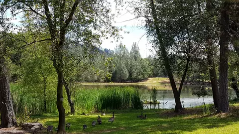 13148 S Fork Rd, Igo, CA 96047 photo 8