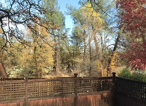 519 Reddington Dr, Redding, CA 96003 photo 12