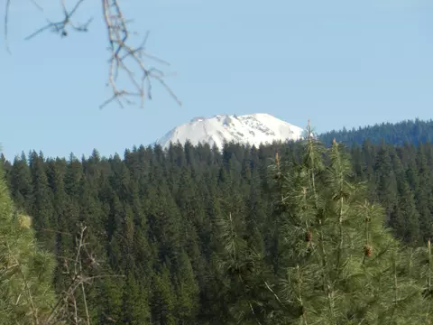 12489 Squirrel Ln, Whitmore, CA 96096 photo 19