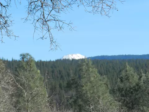 12489 Squirrel Ln, Whitmore, CA 96096 photo 18