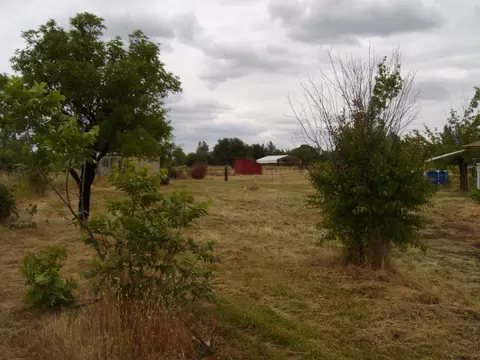 17072 Roy Ln, Anderson, CA 96007 photo 5