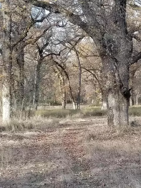 10657 Oak Run Rd, Oak Run, CA 96069 photo 76