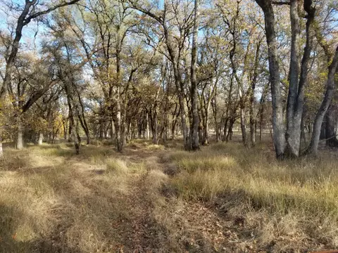10657 Oak Run Rd, Oak Run, CA 96069 photo 72