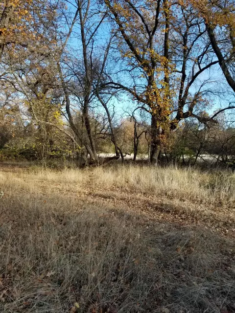 10657 Oak Run Rd, Oak Run, CA 96069 photo 79