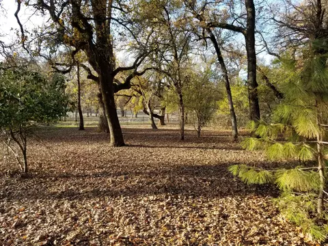 10657 Oak Run Rd, Oak Run, CA 96069 photo 55