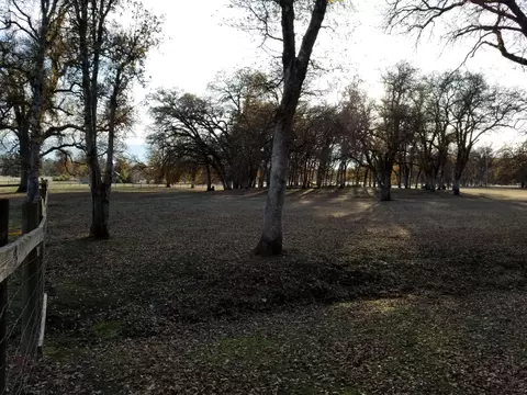 10657 Oak Run Rd, Oak Run, CA 96069 photo 59