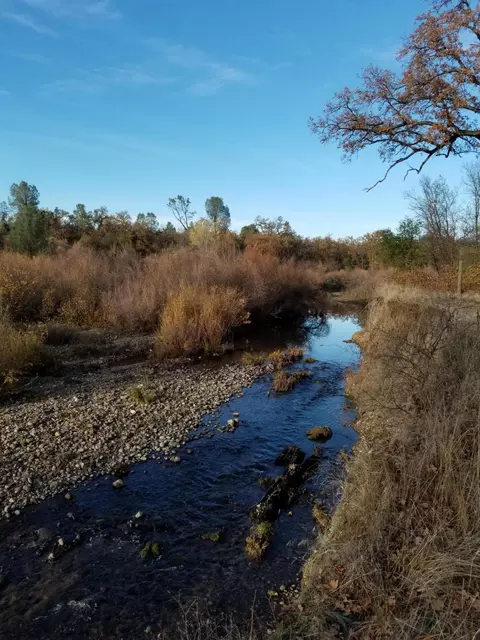 10657 Oak Run Rd, Oak Run, CA 96069 photo 68