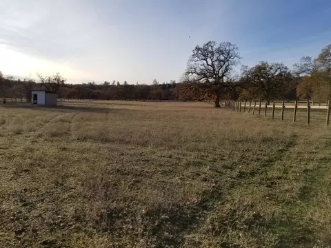 10657 Oak Run Rd, Oak Run, CA 96069 photo 62