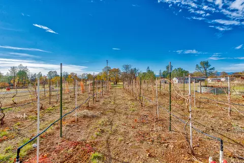 11707 Homestead Ln, Redding, CA 96003 photo 39