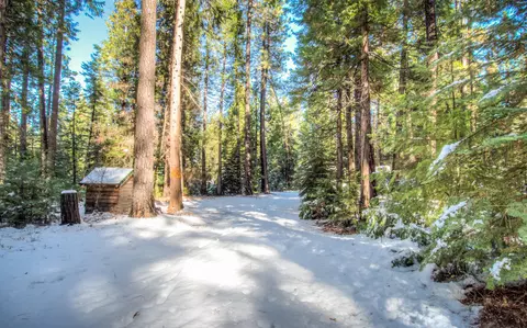 36535 Viola Meadows Ct, Shingletown, CA 96088 photo 3