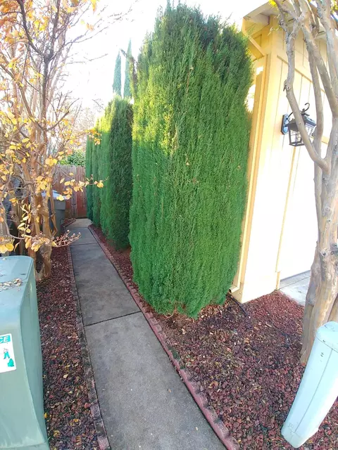 416 Mammoth Path, Redding, CA 96003 photo 37
