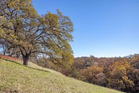 14505 Oak Meadow Dr, Red Bluff, CA 96080 photo 35
