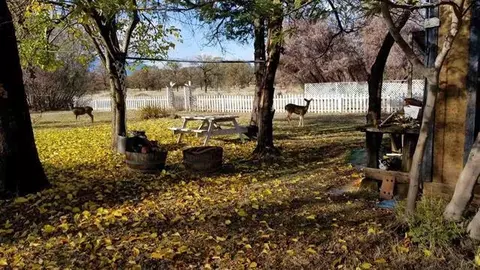 6442 Kasigluk, Anderson, CA 96007 photo 4