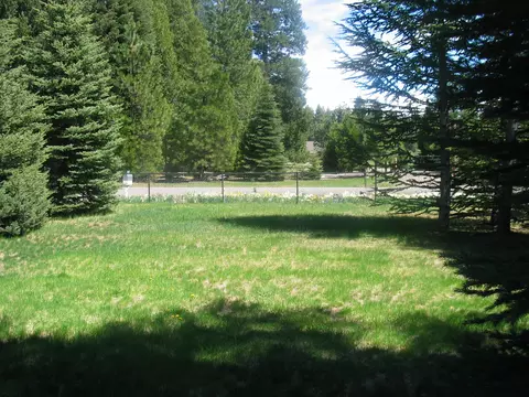 9398 Thatcher Mill Rd, Shingletown, CA 96088 photo 35