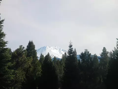9398 Thatcher Mill Rd, Shingletown, CA 96088 photo 33