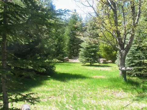 9398 Thatcher Mill Rd, Shingletown, CA 96088 photo 32