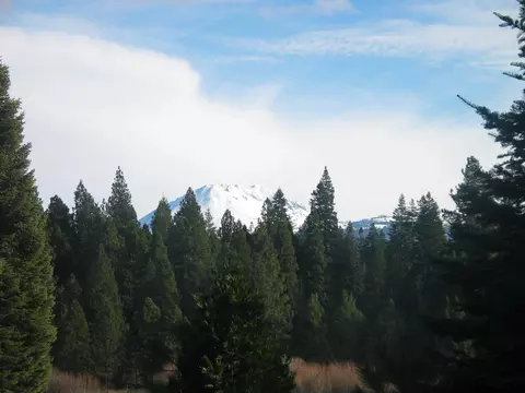 9398 Thatcher Mill Rd, Shingletown, CA 96088 photo 34